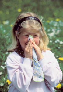 Seasonal Allergy Help Image